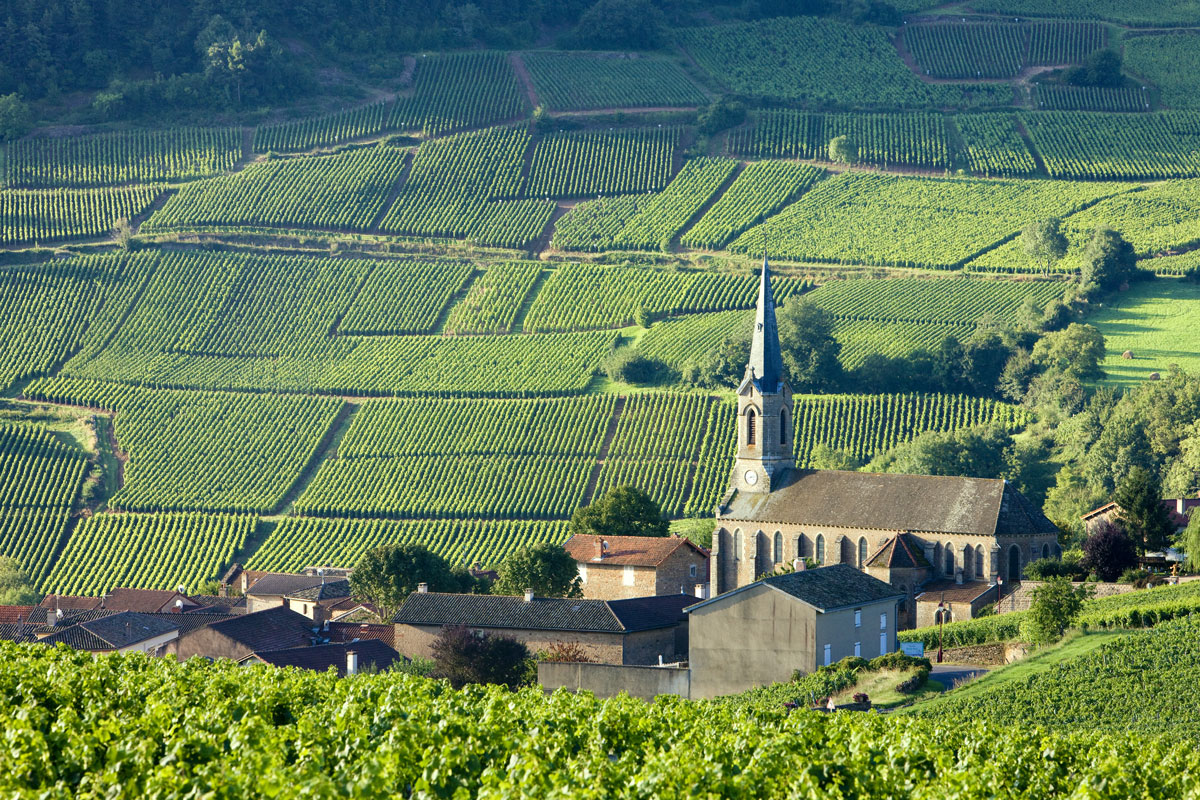 Burgundy_France