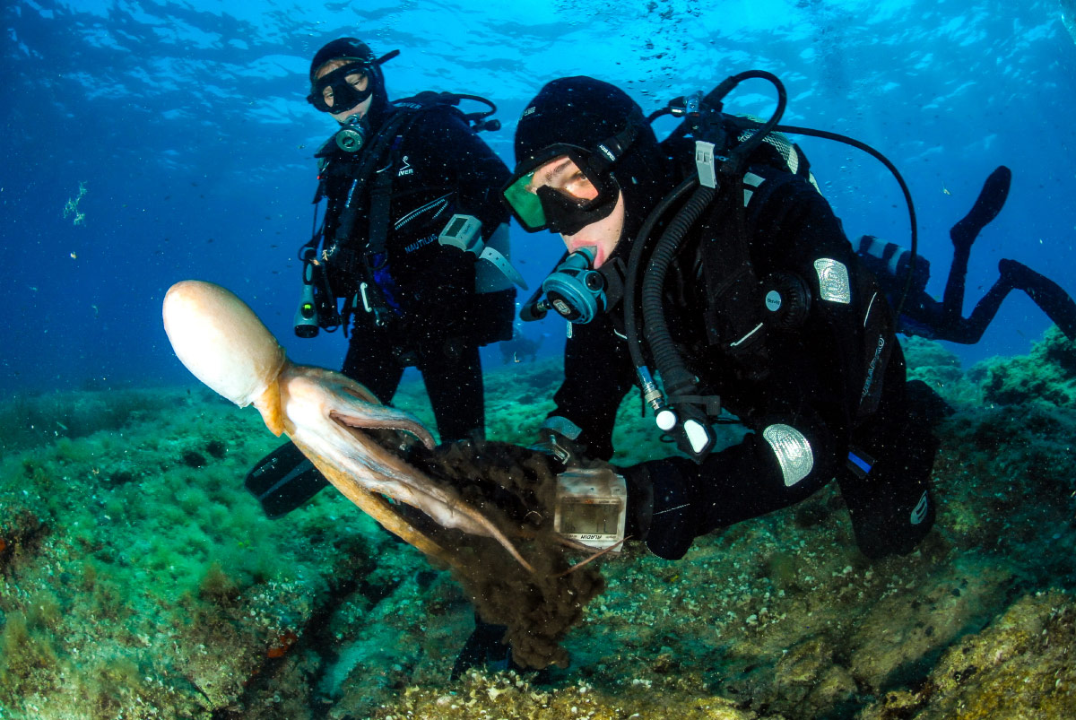 Scuba Diving, Croatia, adrenaline activities Europe