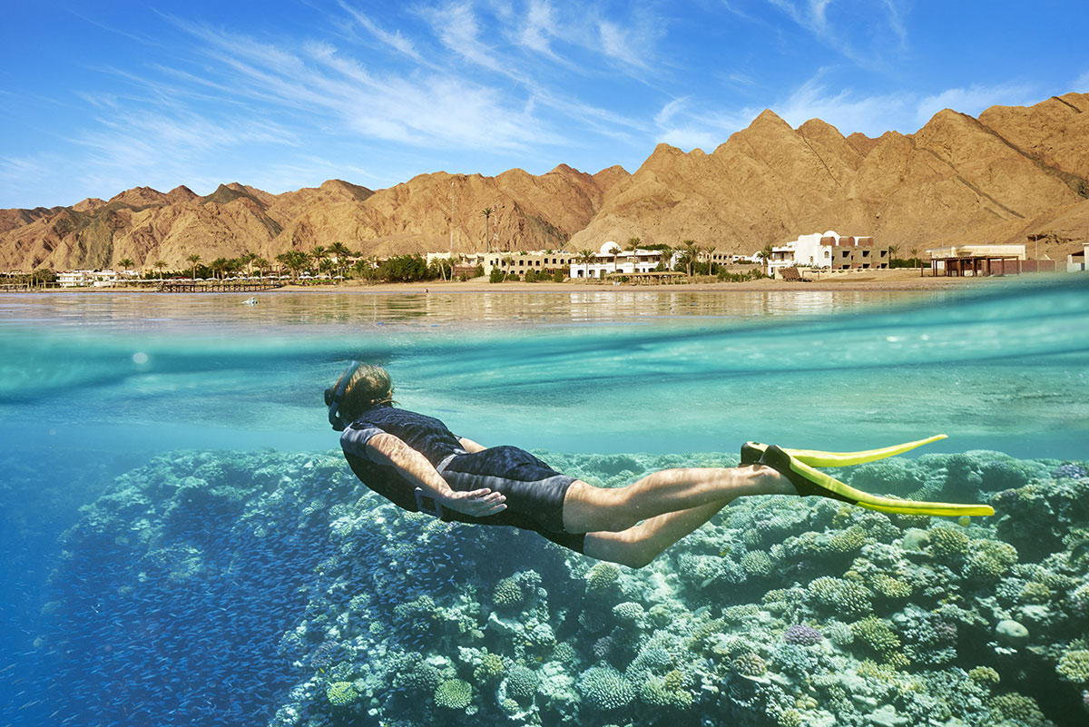Snorkeling in the Red Sea - Egypt tour - Expat Explore