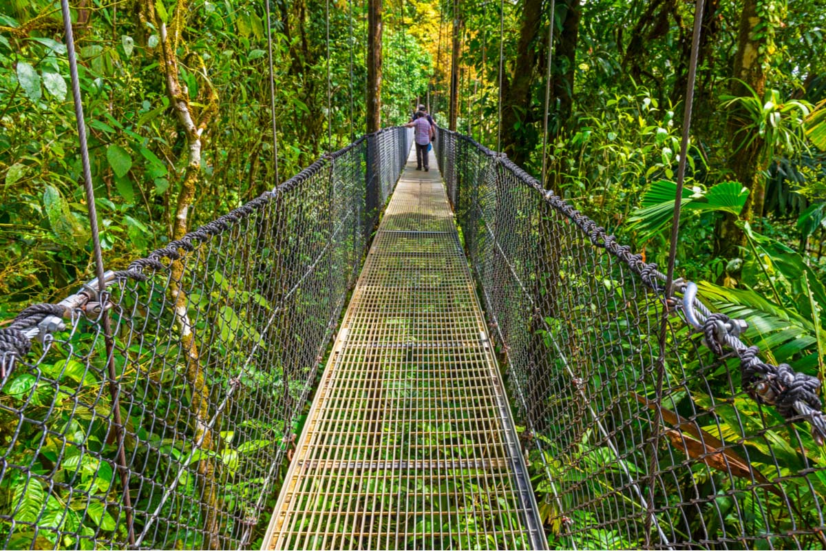 Arenal Volcano hanging bridge, south american day trips