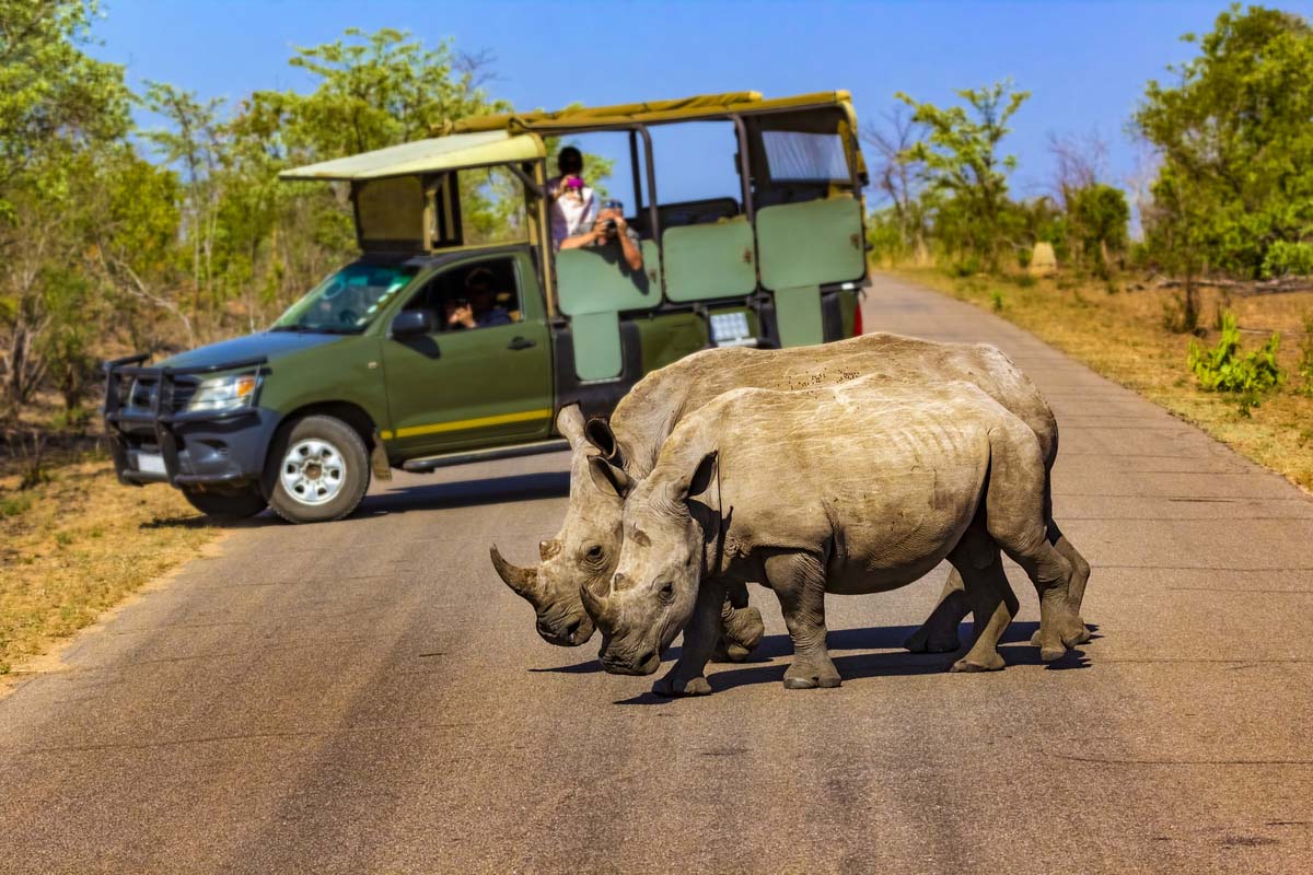 South Africa safari parks