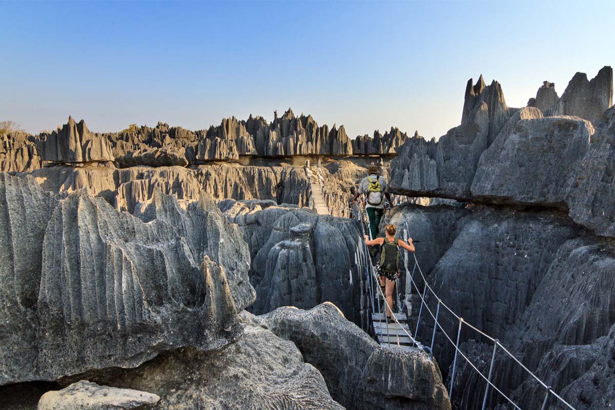 Hiking through the Forest of Knives in Madagascar