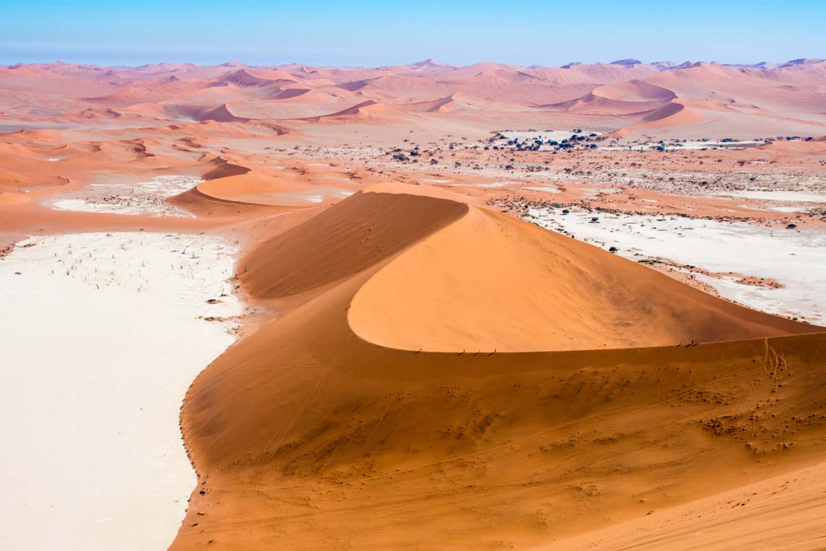 The biggest dune in the Namib Desert in Sossusvlei, Namibia