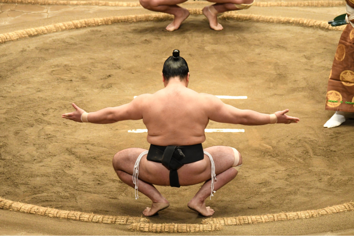 Sumo wrestling