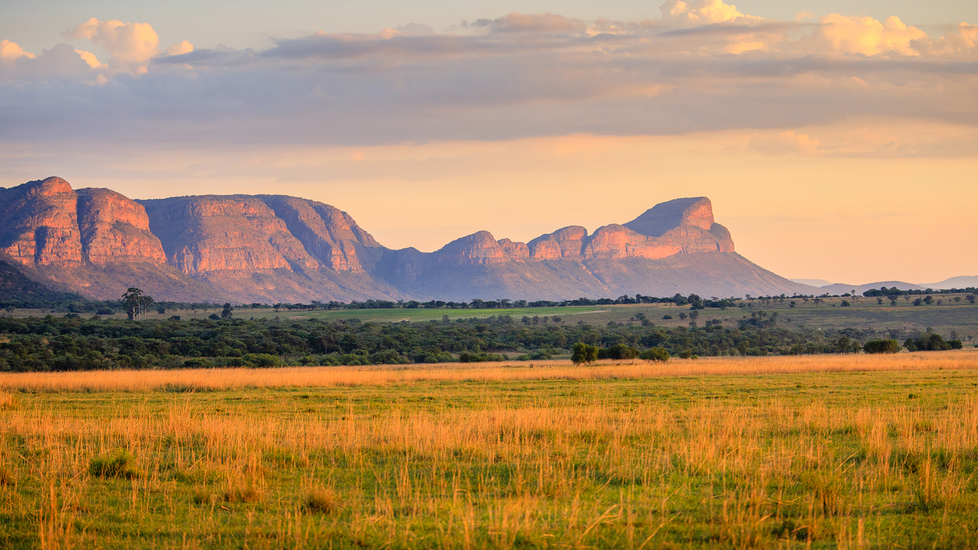 Limpopo, South Africa