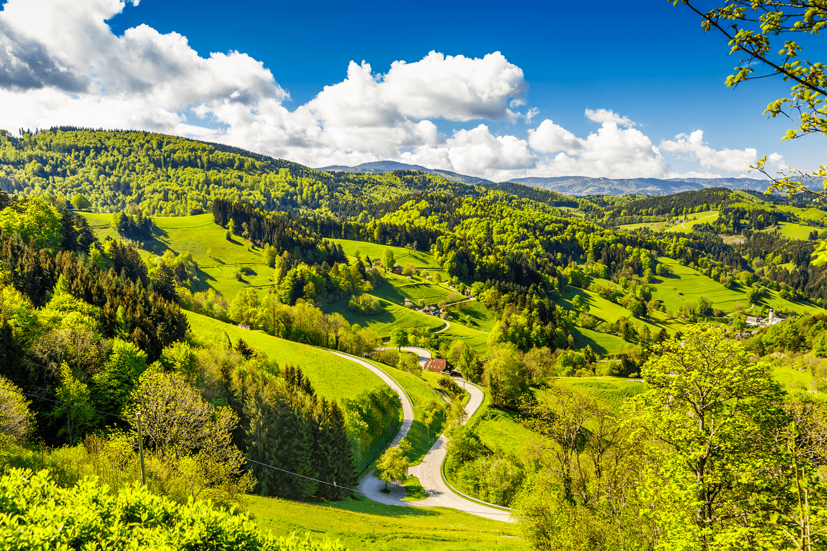 Countryside view Germany Black Forest Europe National Parks