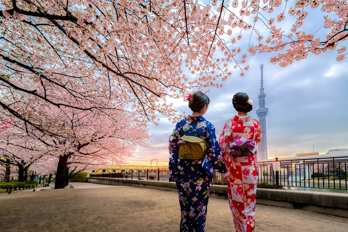 Highlights of Japan tour
