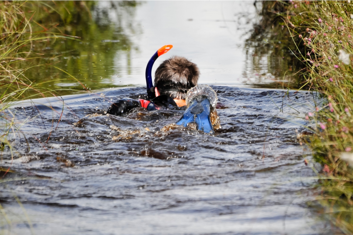 Man bog snorkelling in Wales British Traditions