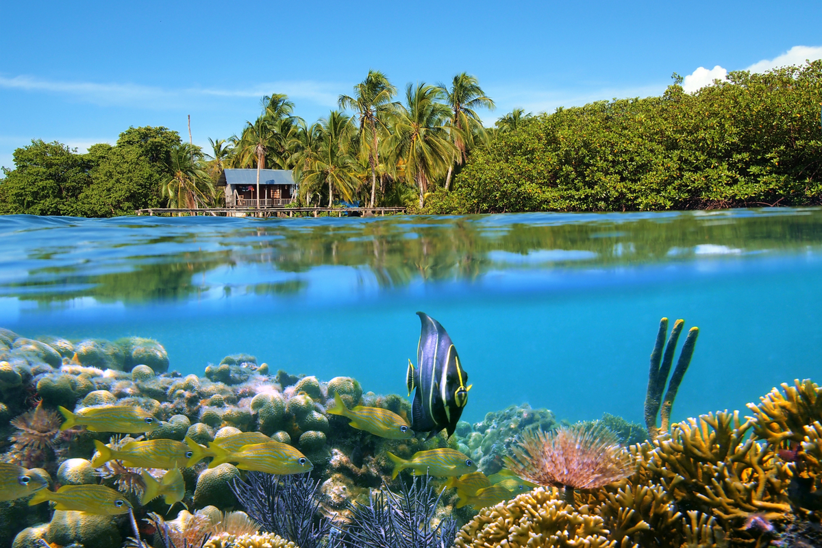  Bocas del Toro, Panama, photographers, World Photography Day