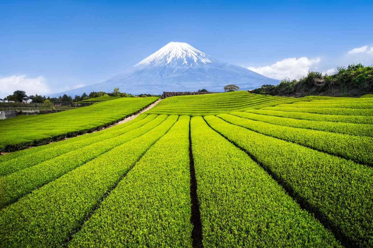 Nihon-daira, Japan, photographers, World Photography Day