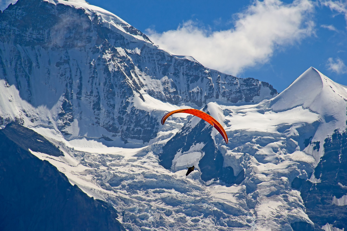 Paragliding, Swiss Alps, ski resort