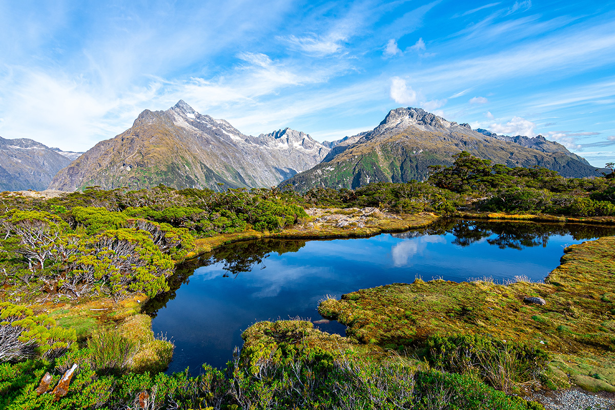 New Zealand speaks English