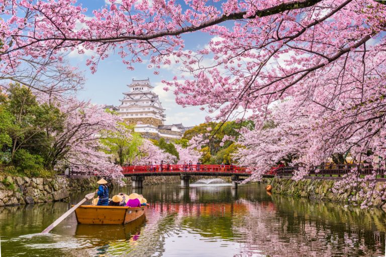 CherryBlossomJapan-768x512.jpg