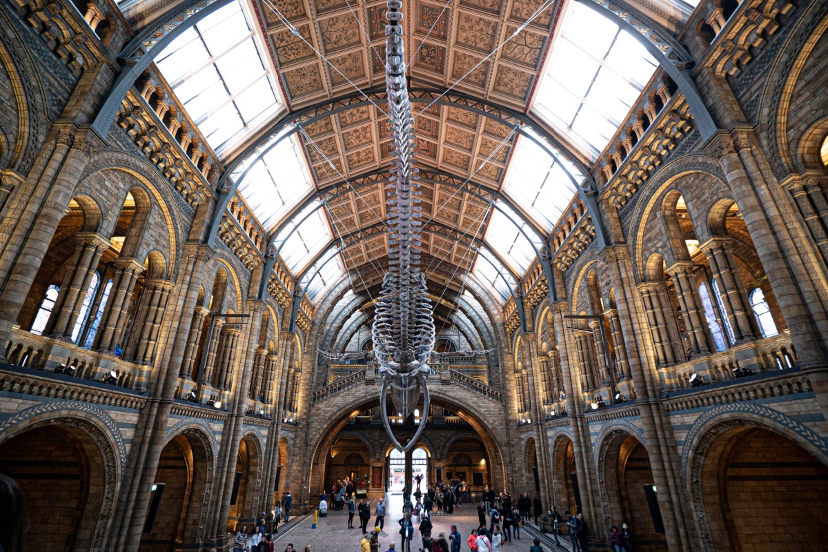 The ultimate London museum guide