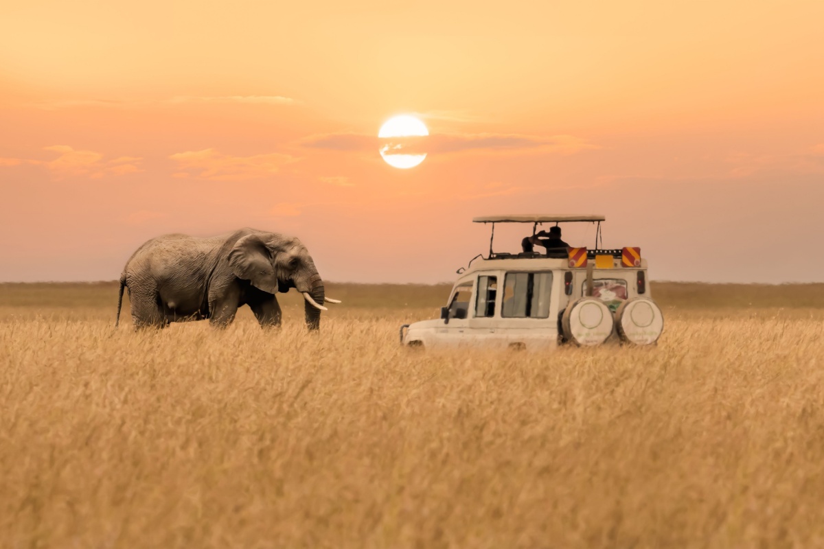 South Africa safari, multigenerational travel destinations