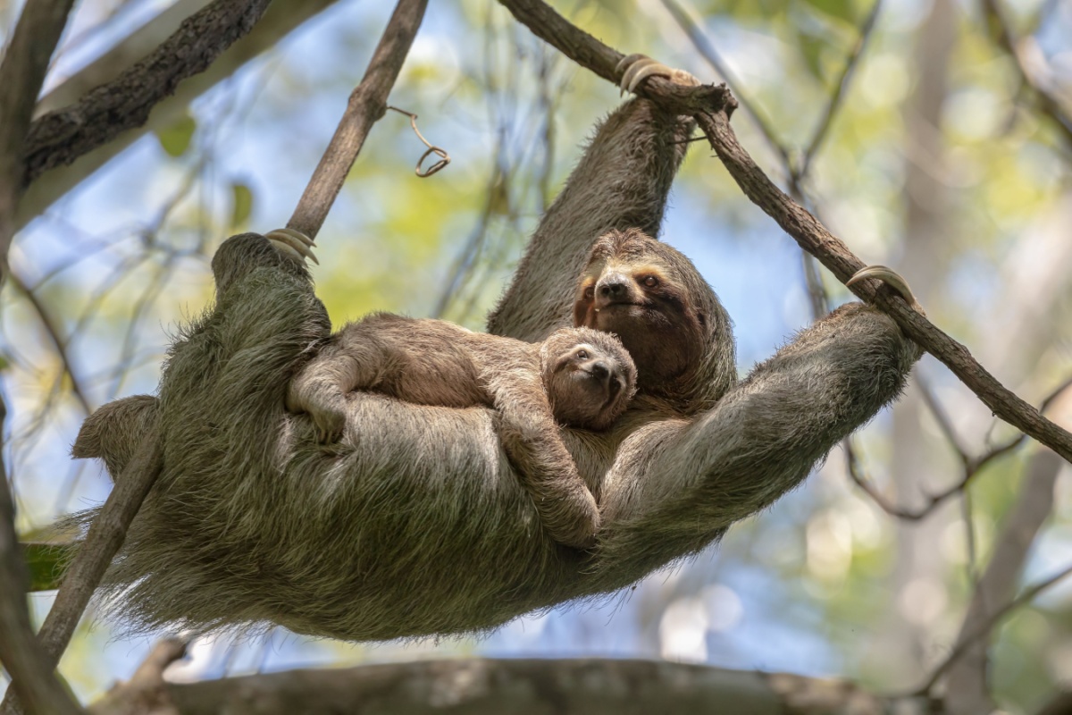 Costa Rica, Multigenerational travel destinations