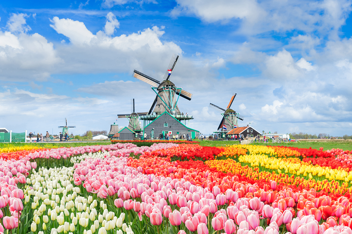 Keukenhof, Amsterdam, Europe in April